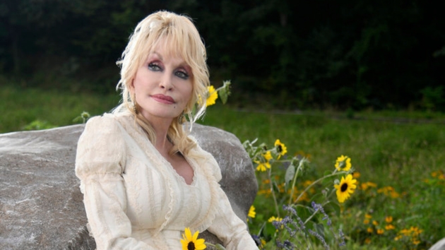 Dollywoods opening its doors with a music festival