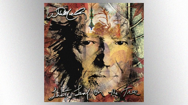 “Do You Realize??”: Willie Nelson covers rockers The Flaming Lips