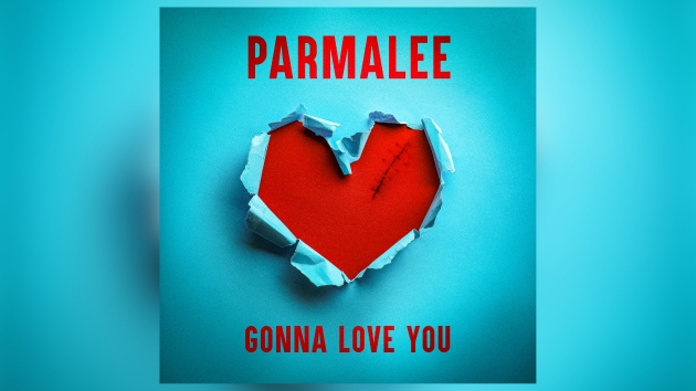 Parmalees grateful Gonna Love You resonates with fans: Its a song about our experiences