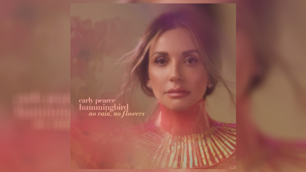 The hard road for a hummingbird: Trace Carly Pearces changes through her music