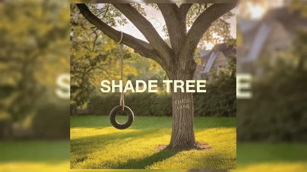 Chris Lanes new album is built with 2x4s & 4x6s