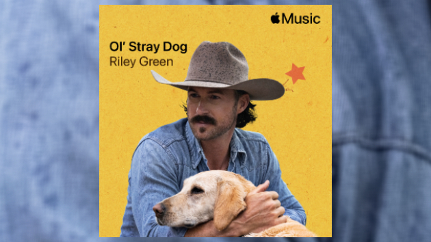 Riley Green finds an ‘Ol’ Stray Dog’